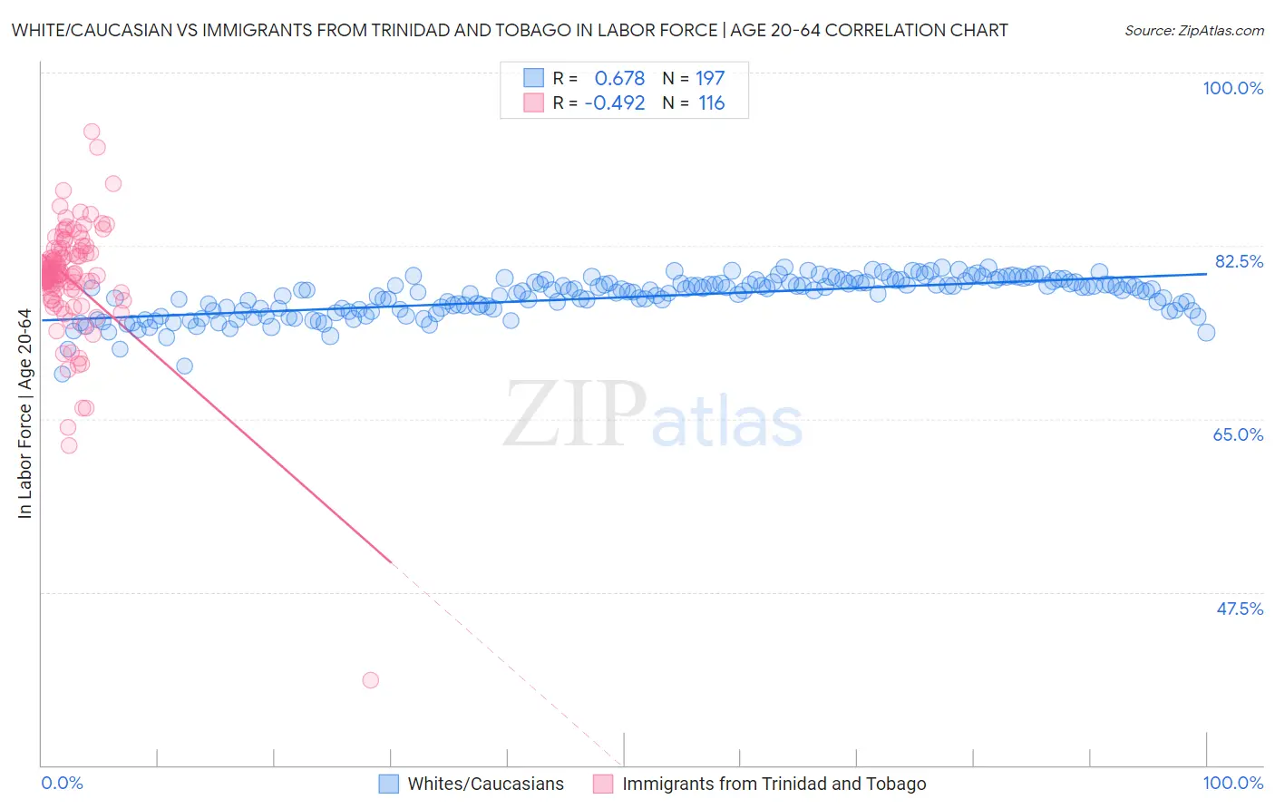 White/Caucasian vs Immigrants from Trinidad and Tobago In Labor Force | Age 20-64