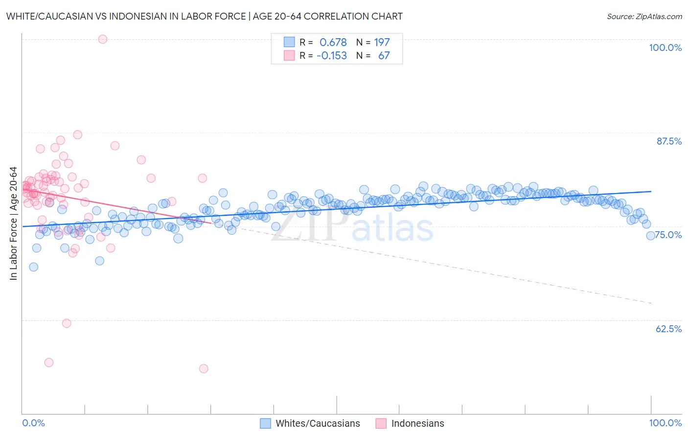 White/Caucasian vs Indonesian In Labor Force | Age 20-64