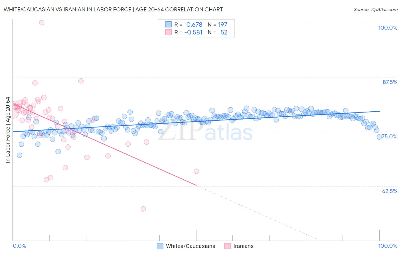 White/Caucasian vs Iranian In Labor Force | Age 20-64