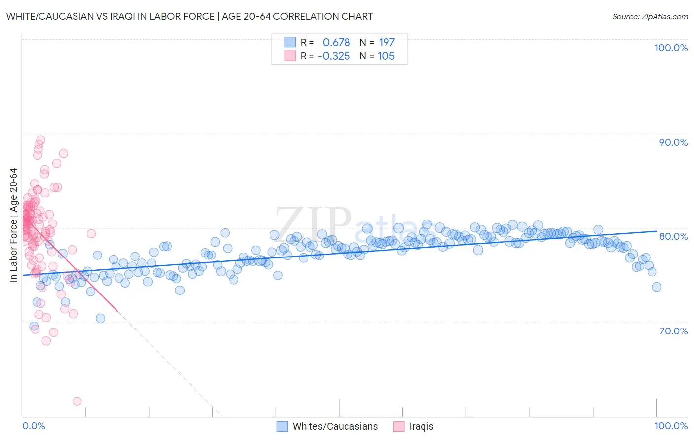 White/Caucasian vs Iraqi In Labor Force | Age 20-64