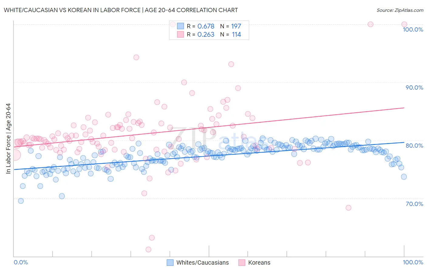 White/Caucasian vs Korean In Labor Force | Age 20-64