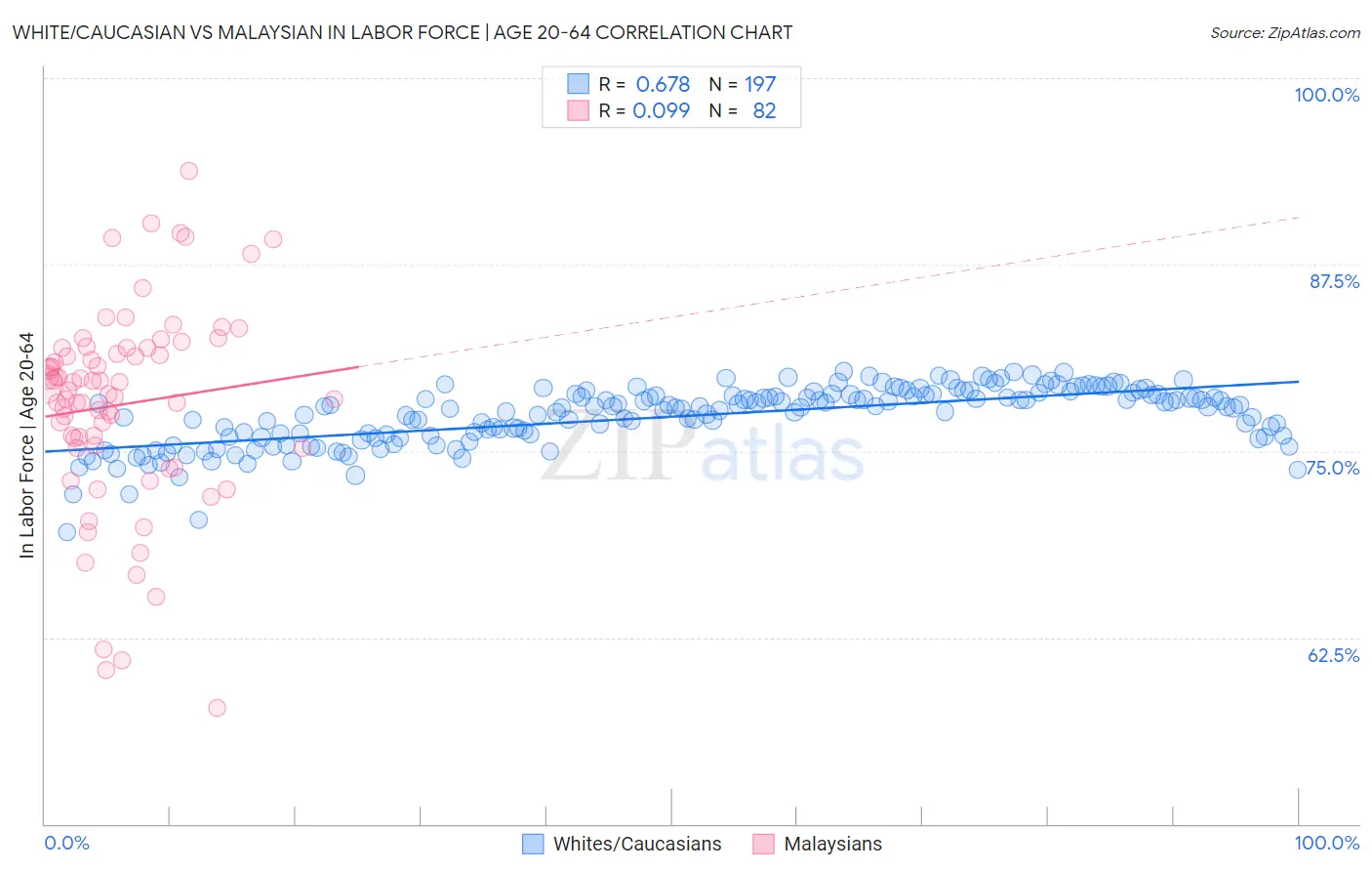 White/Caucasian vs Malaysian In Labor Force | Age 20-64