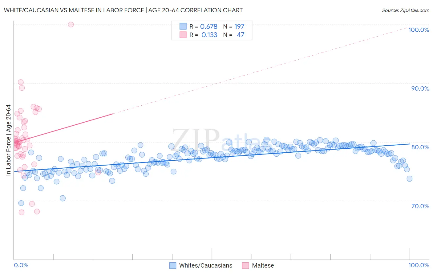 White/Caucasian vs Maltese In Labor Force | Age 20-64