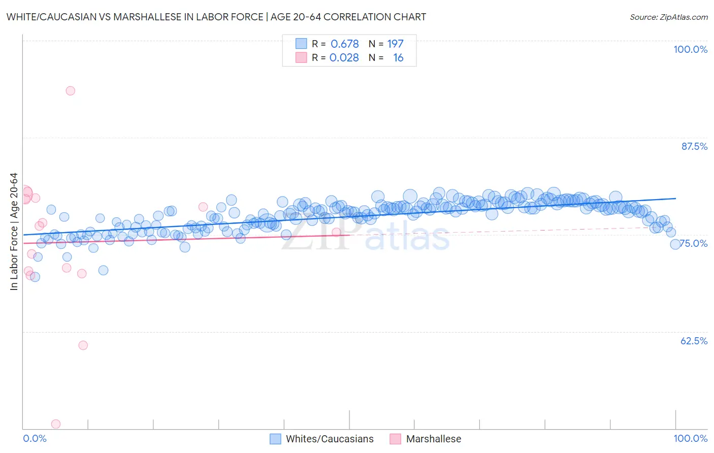 White/Caucasian vs Marshallese In Labor Force | Age 20-64