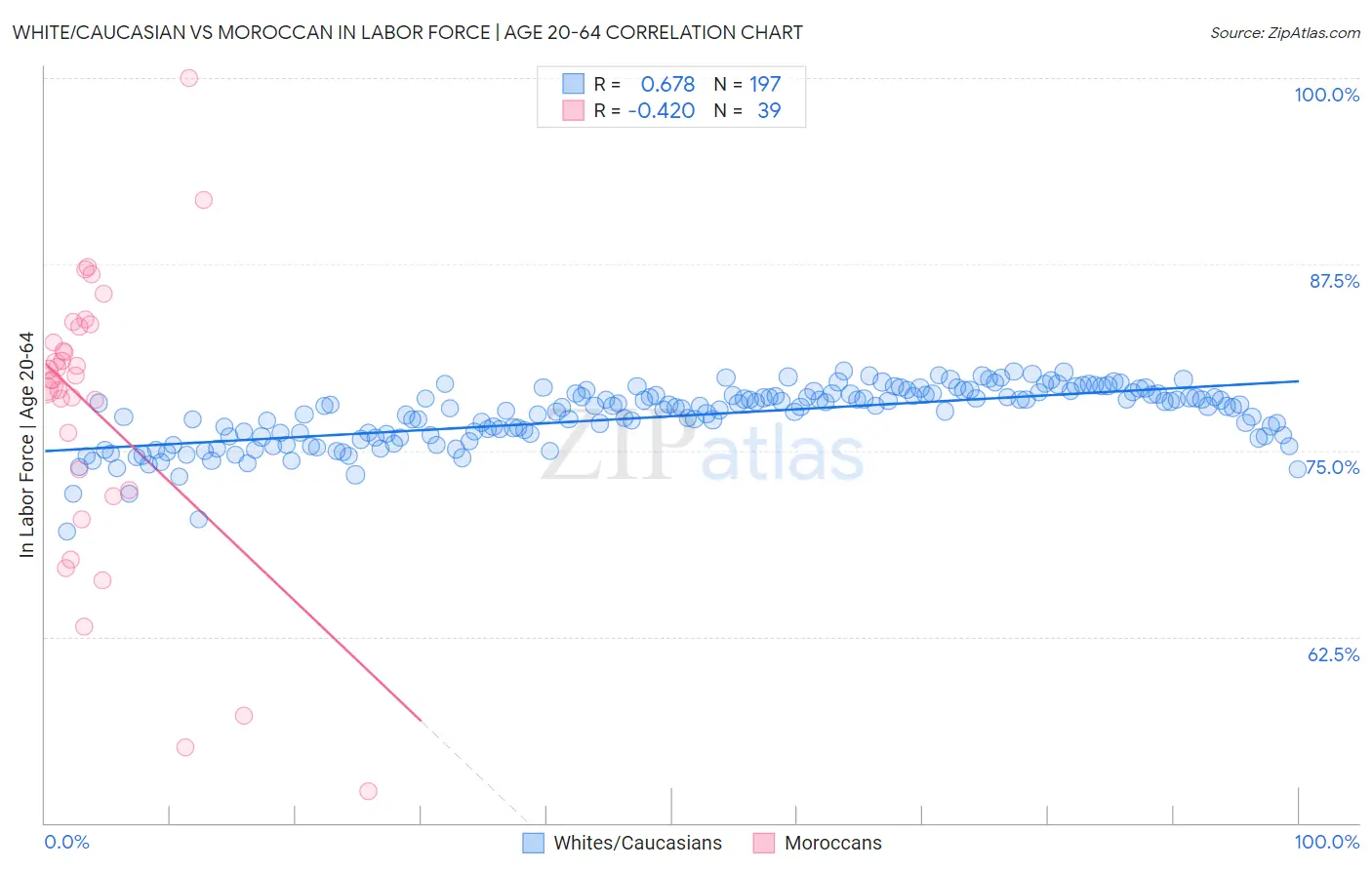 White/Caucasian vs Moroccan In Labor Force | Age 20-64