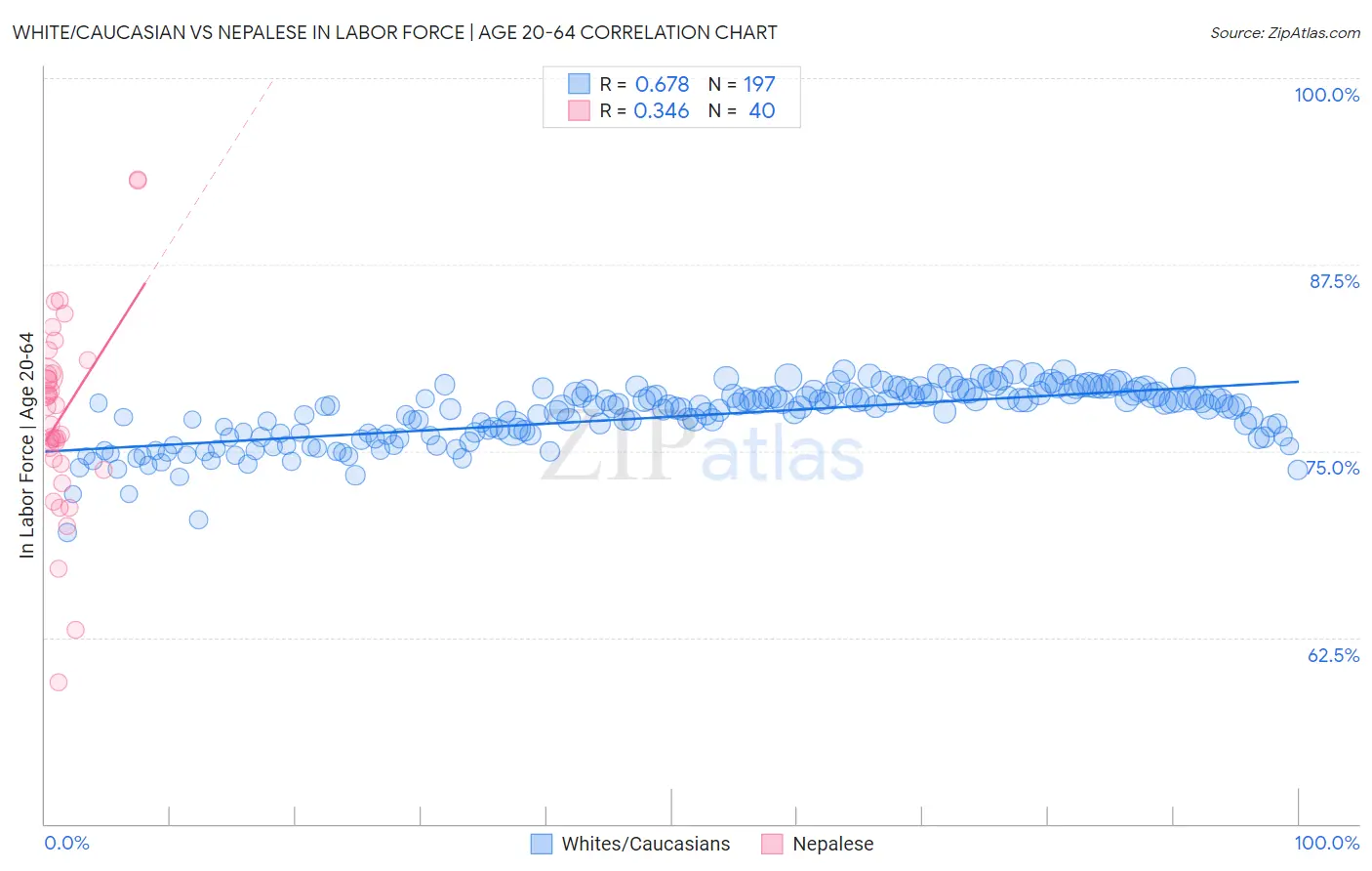White/Caucasian vs Nepalese In Labor Force | Age 20-64