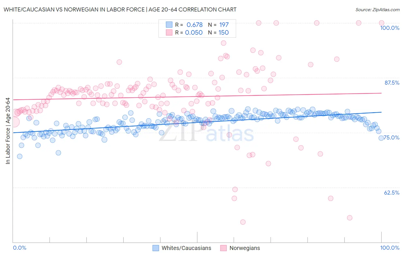 White/Caucasian vs Norwegian In Labor Force | Age 20-64