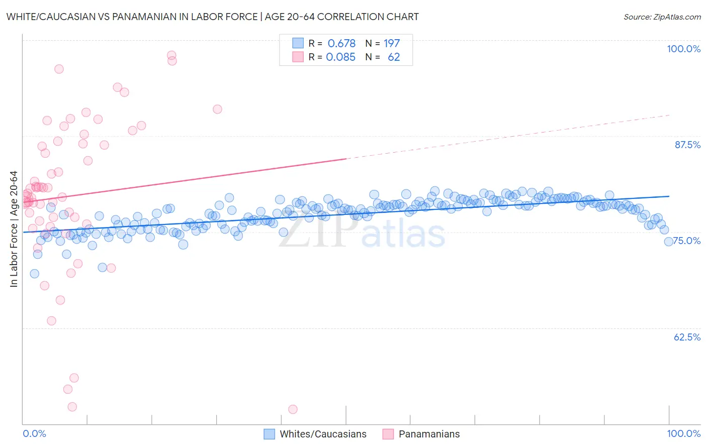White/Caucasian vs Panamanian In Labor Force | Age 20-64