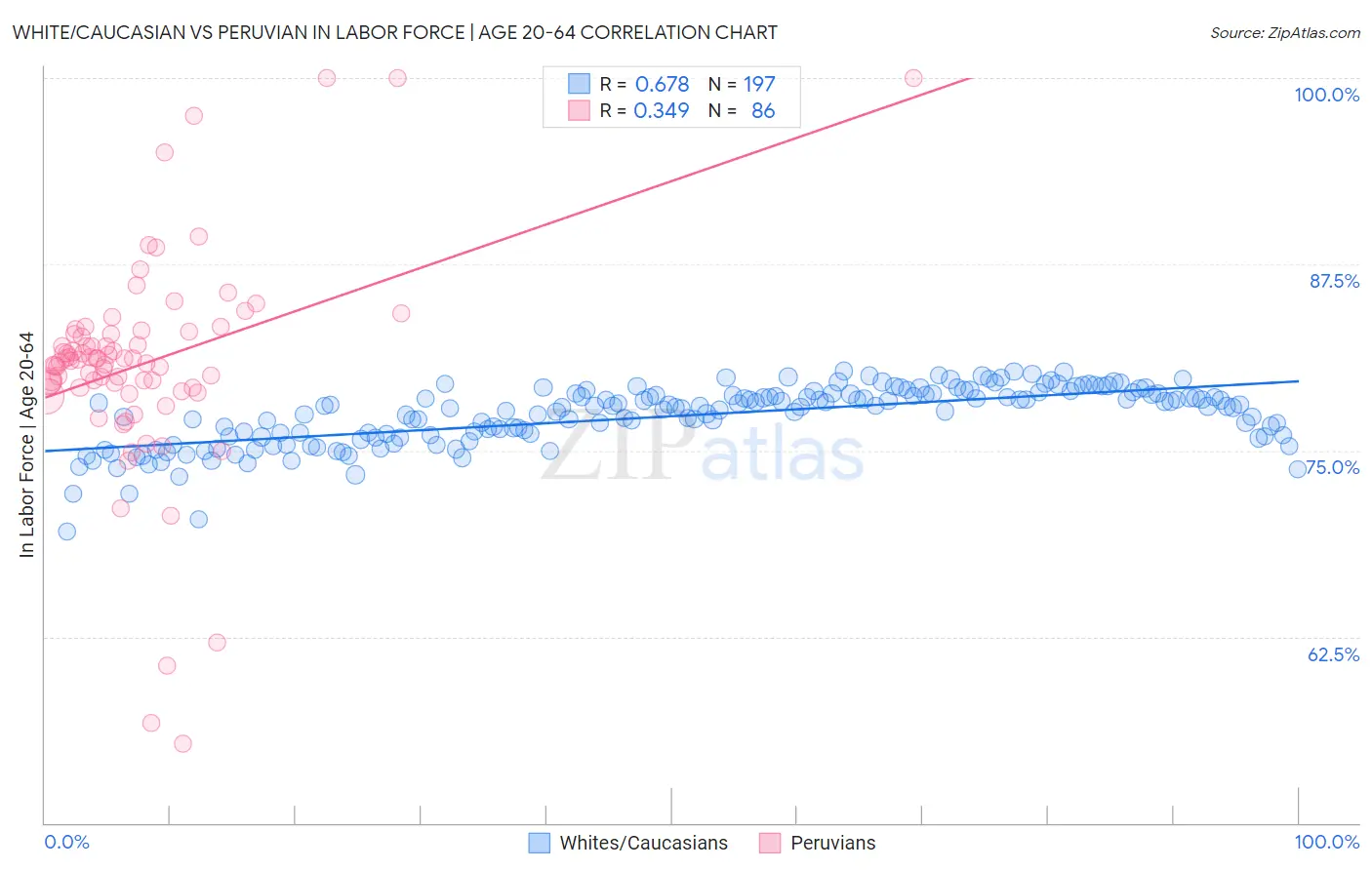White/Caucasian vs Peruvian In Labor Force | Age 20-64