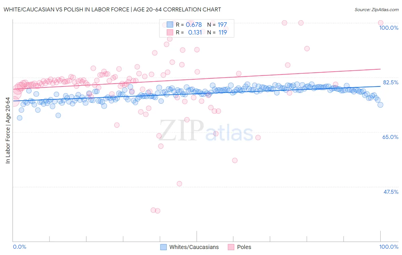 White/Caucasian vs Polish In Labor Force | Age 20-64