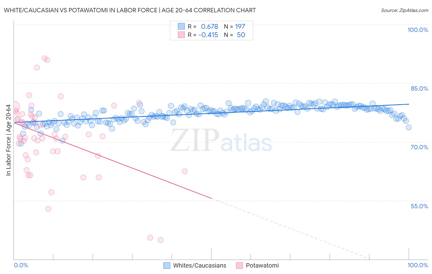 White/Caucasian vs Potawatomi In Labor Force | Age 20-64