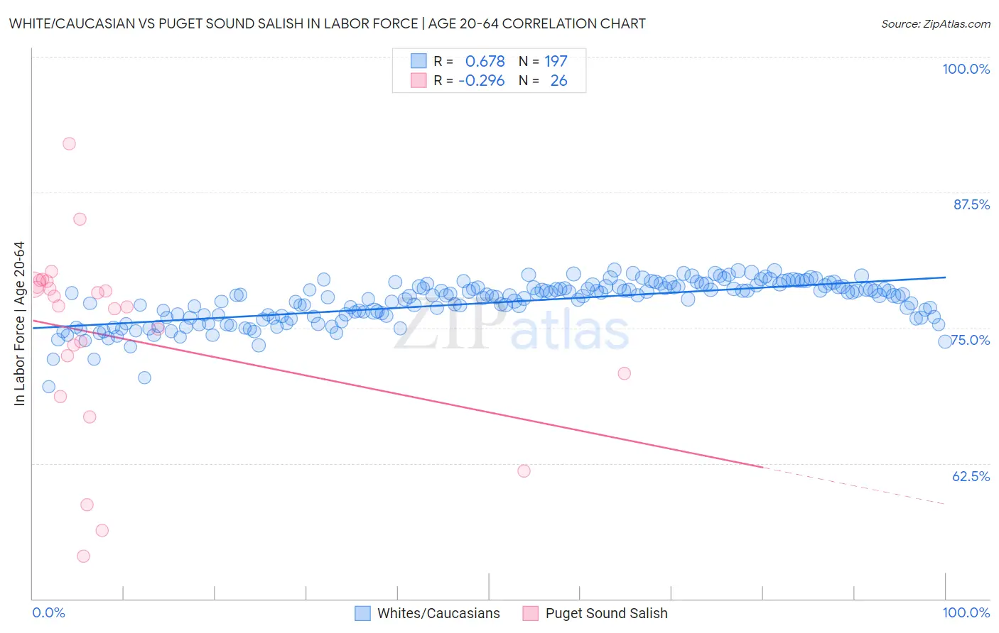 White/Caucasian vs Puget Sound Salish In Labor Force | Age 20-64