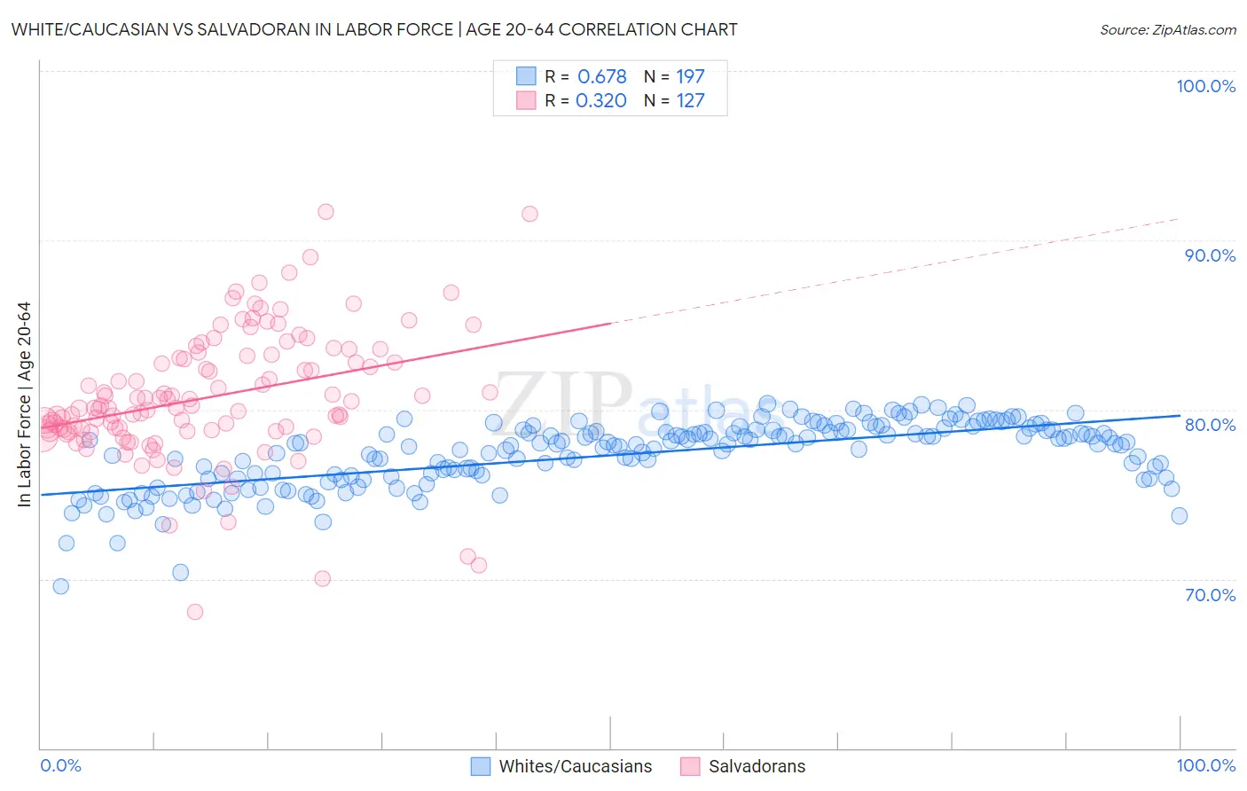 White/Caucasian vs Salvadoran In Labor Force | Age 20-64