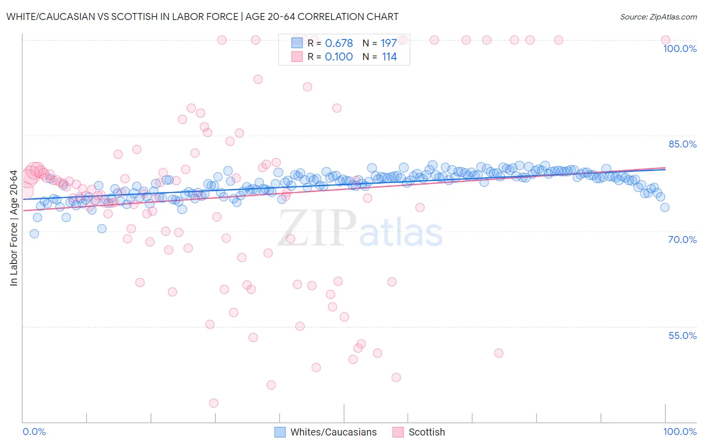 White/Caucasian vs Scottish In Labor Force | Age 20-64