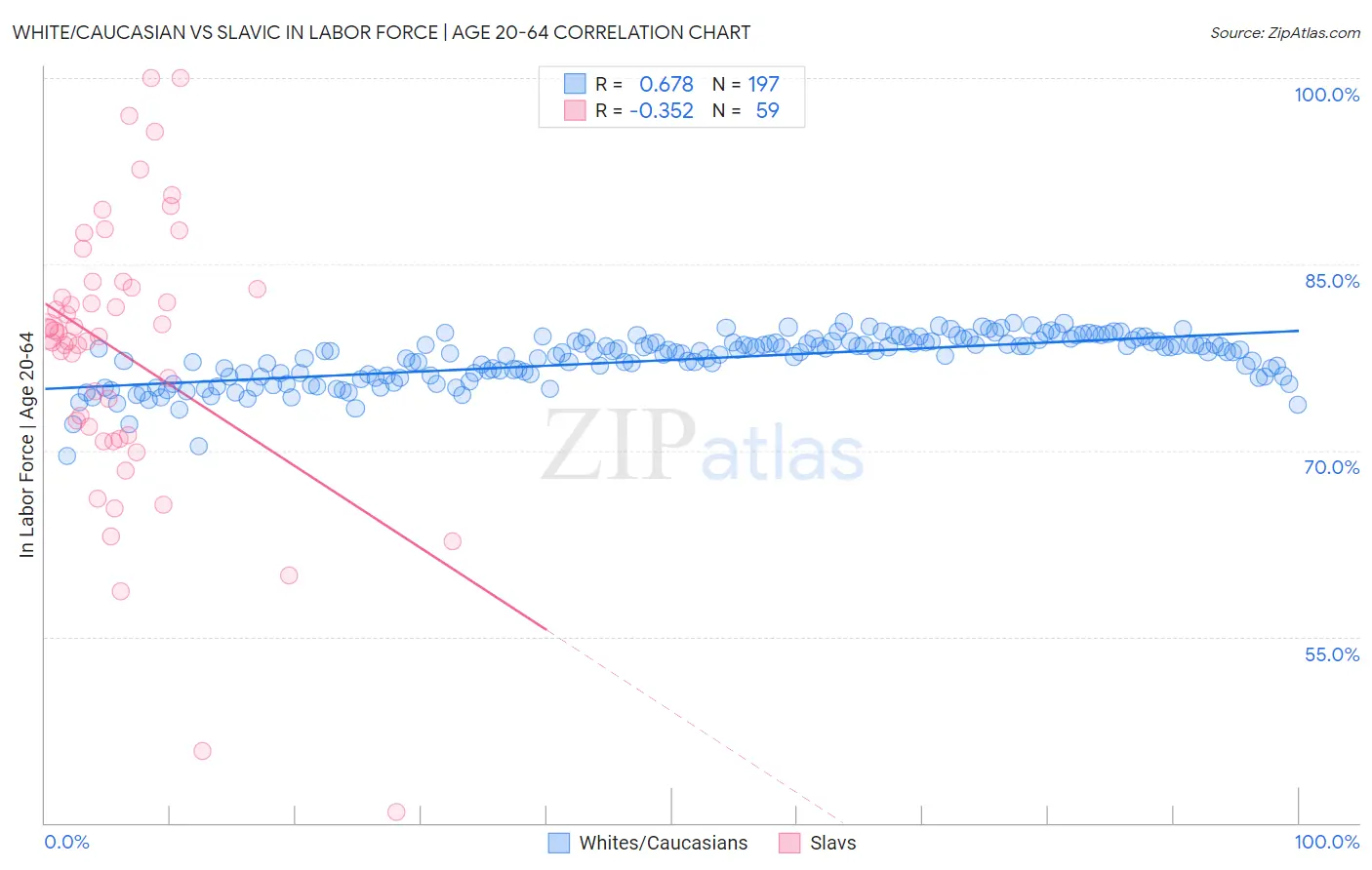White/Caucasian vs Slavic In Labor Force | Age 20-64