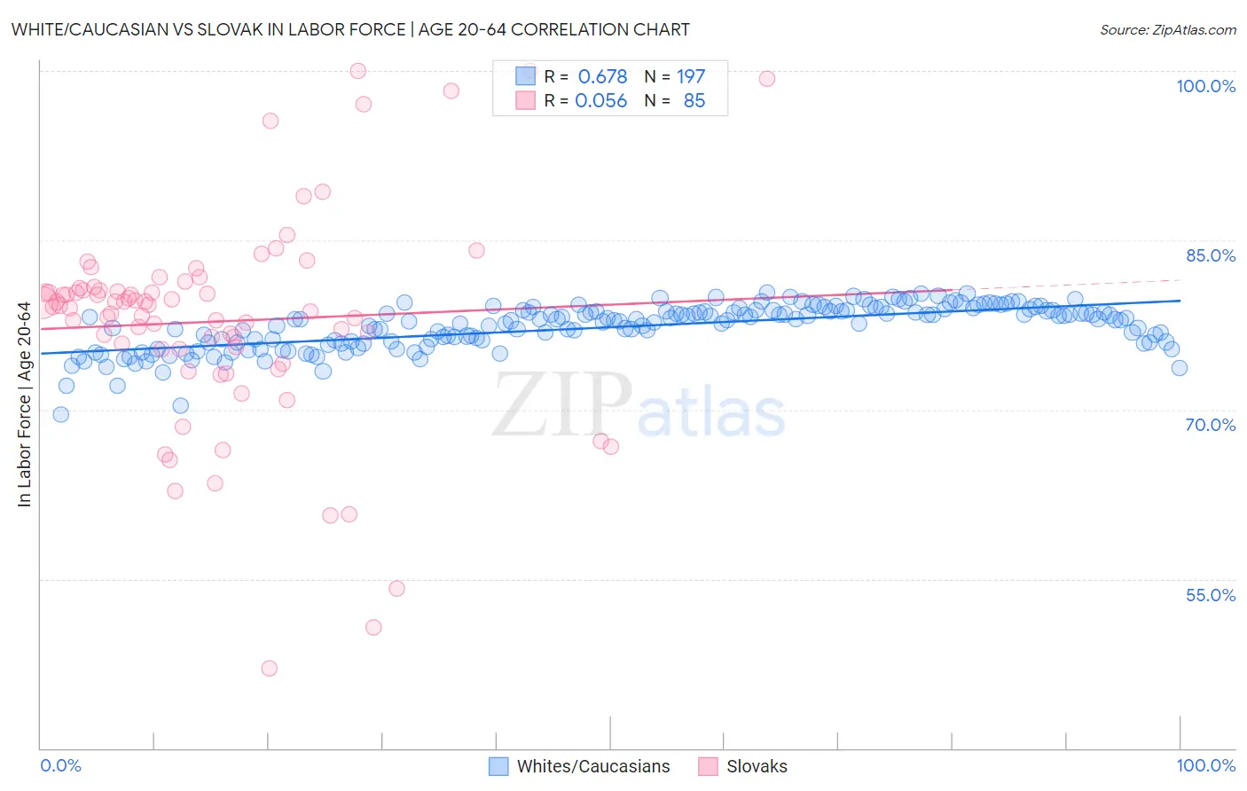 White/Caucasian vs Slovak In Labor Force | Age 20-64