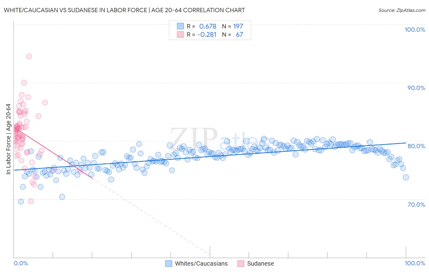 White/Caucasian vs Sudanese In Labor Force | Age 20-64