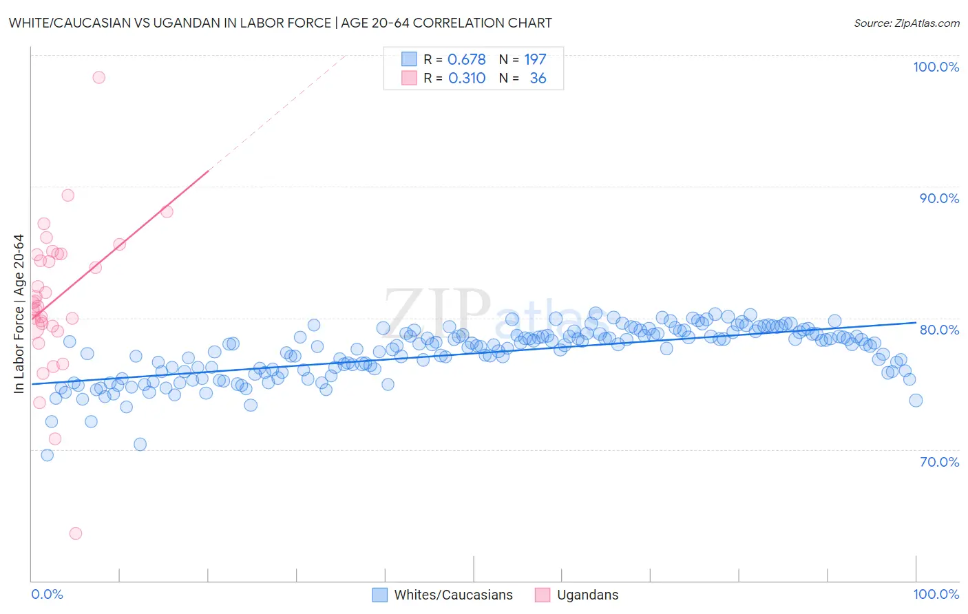 White/Caucasian vs Ugandan In Labor Force | Age 20-64
