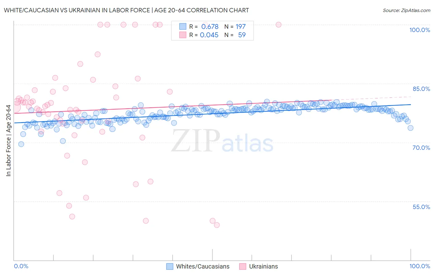 White/Caucasian vs Ukrainian In Labor Force | Age 20-64