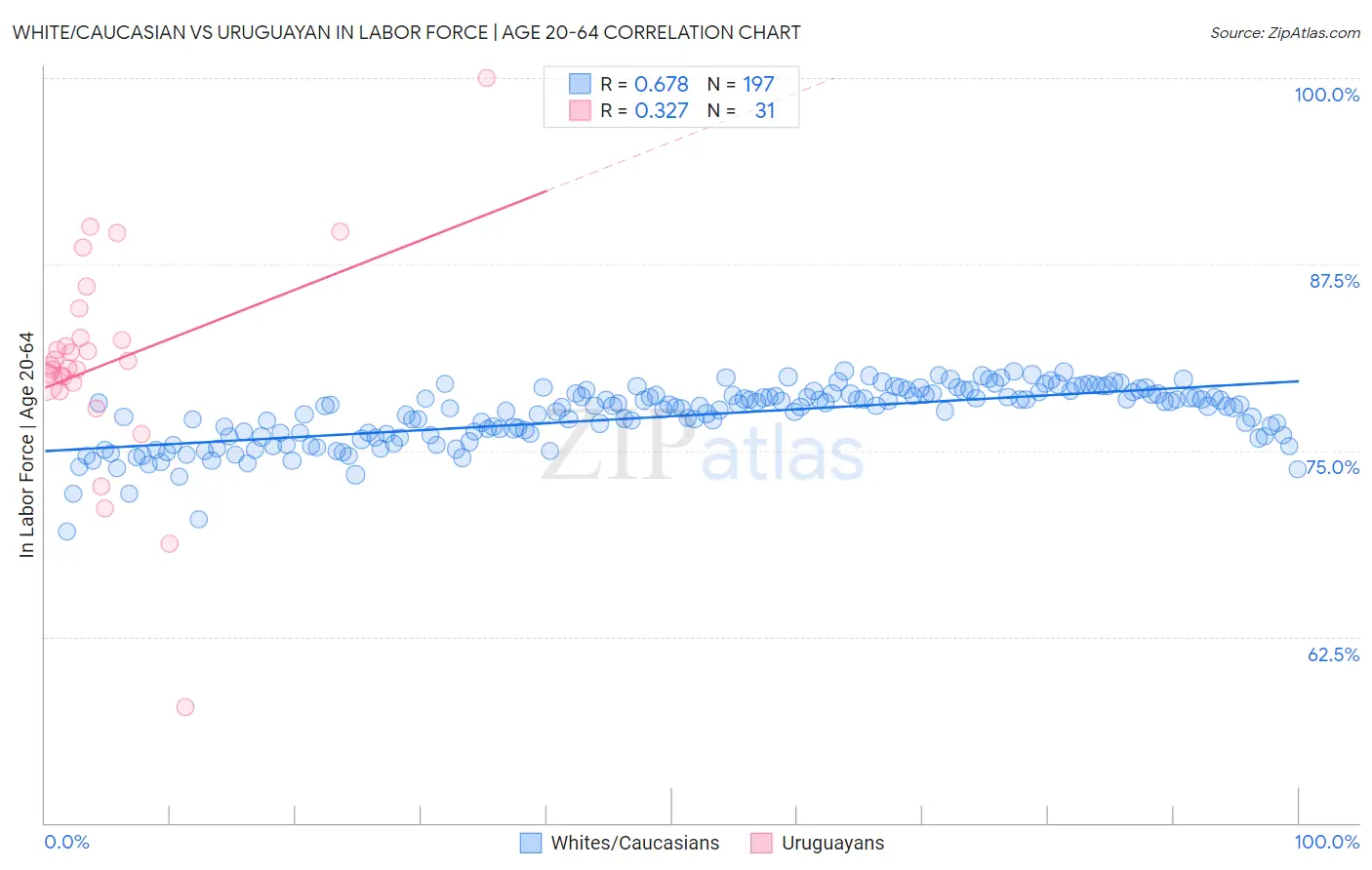 White/Caucasian vs Uruguayan In Labor Force | Age 20-64