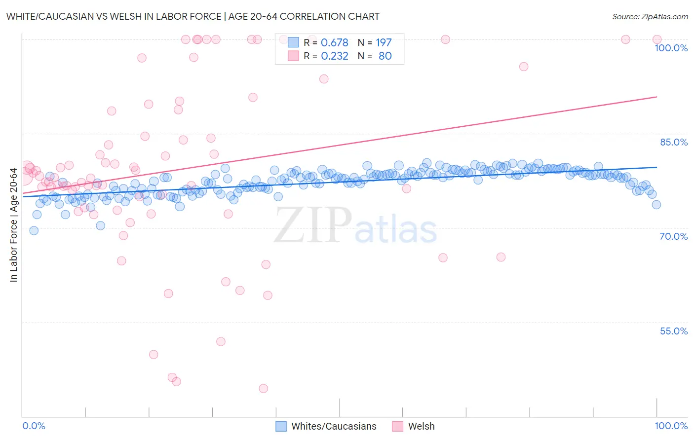 White/Caucasian vs Welsh In Labor Force | Age 20-64