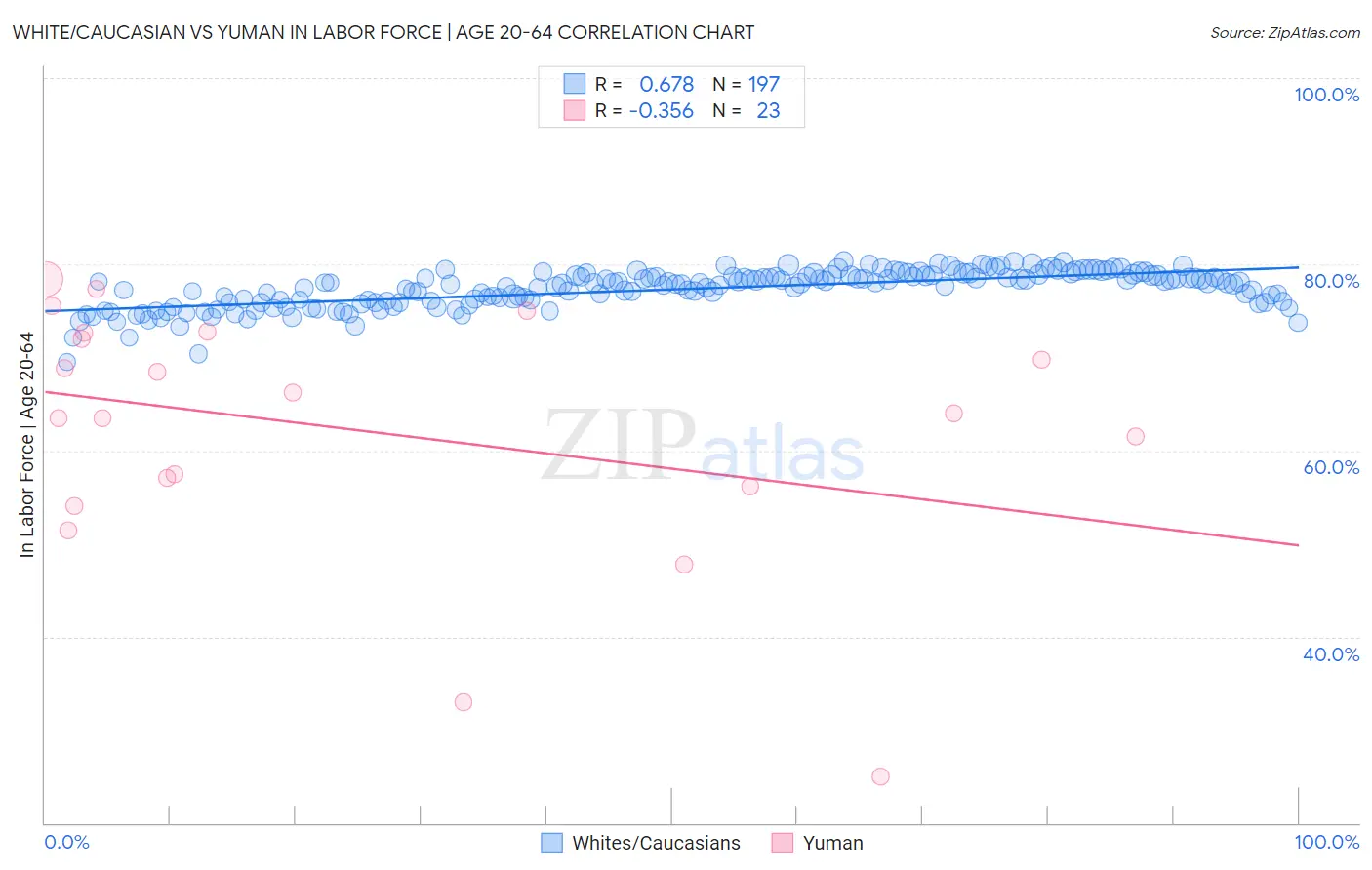 White/Caucasian vs Yuman In Labor Force | Age 20-64