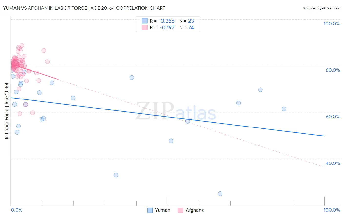 Yuman vs Afghan In Labor Force | Age 20-64