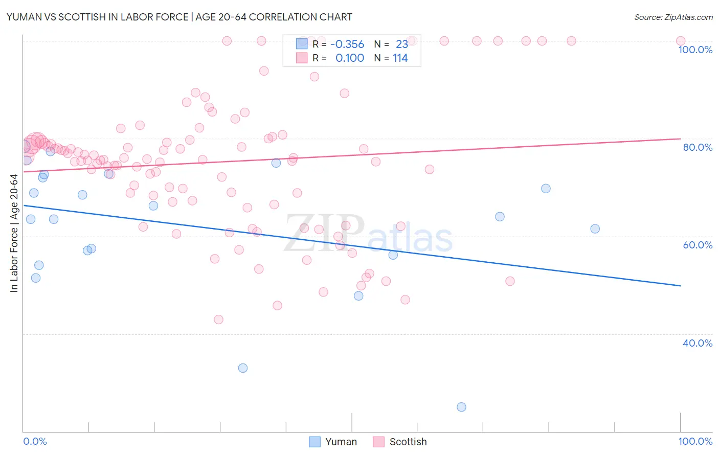 Yuman vs Scottish In Labor Force | Age 20-64