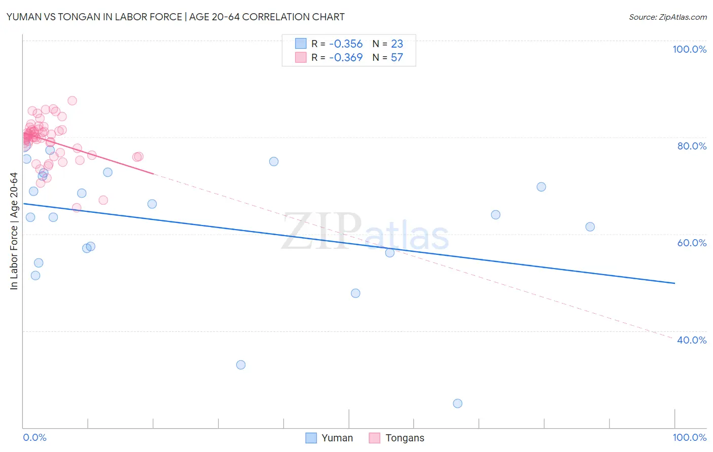 Yuman vs Tongan In Labor Force | Age 20-64