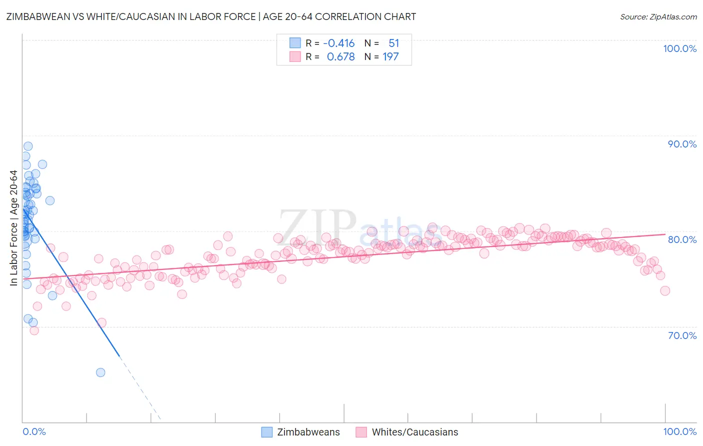 Zimbabwean vs White/Caucasian In Labor Force | Age 20-64