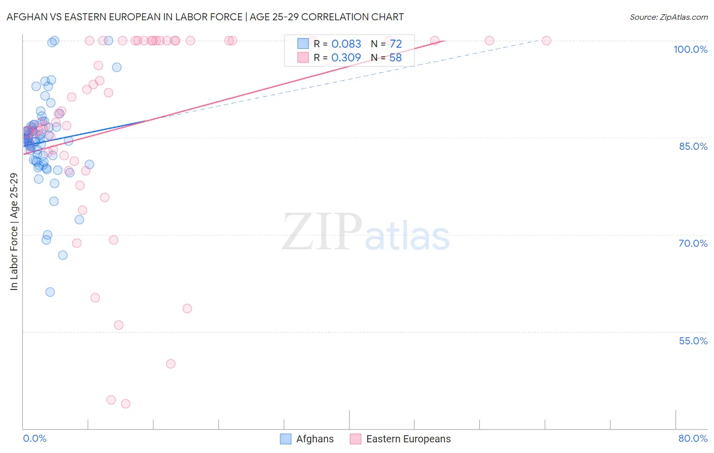 Afghan vs Eastern European In Labor Force | Age 25-29