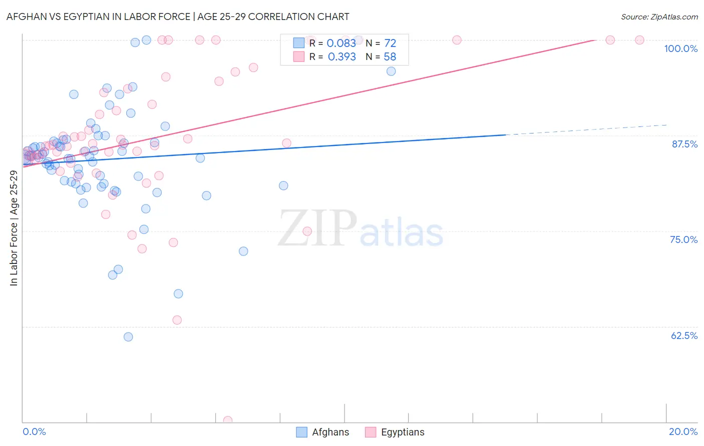 Afghan vs Egyptian In Labor Force | Age 25-29