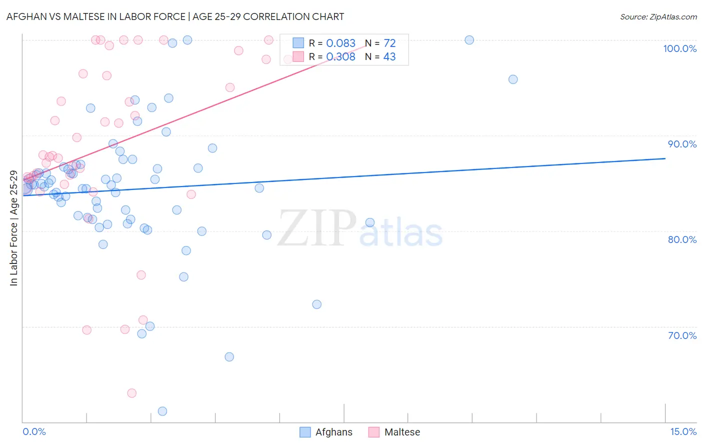 Afghan vs Maltese In Labor Force | Age 25-29