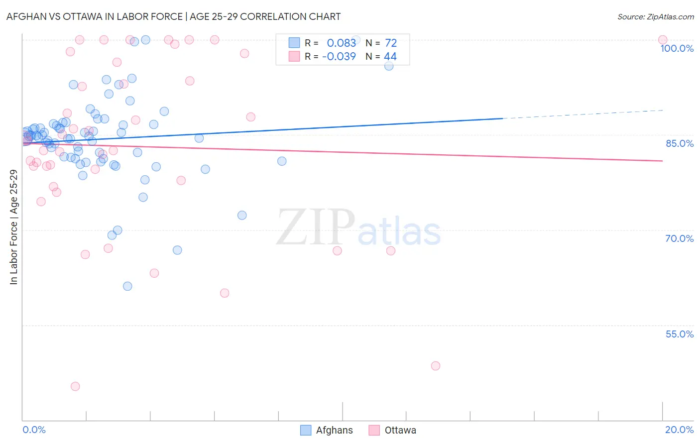 Afghan vs Ottawa In Labor Force | Age 25-29