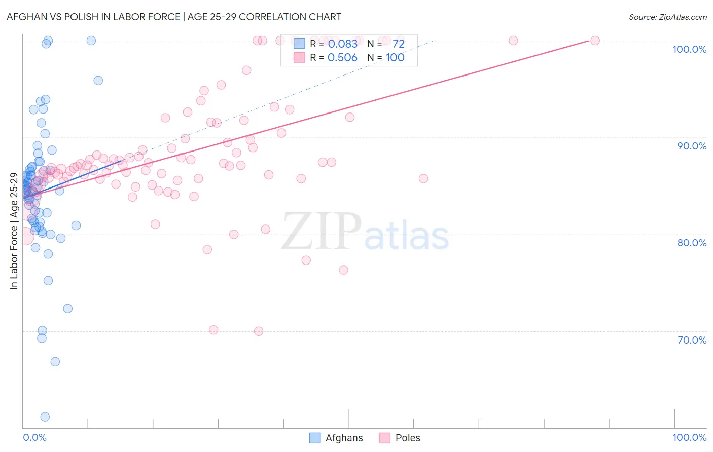 Afghan vs Polish In Labor Force | Age 25-29