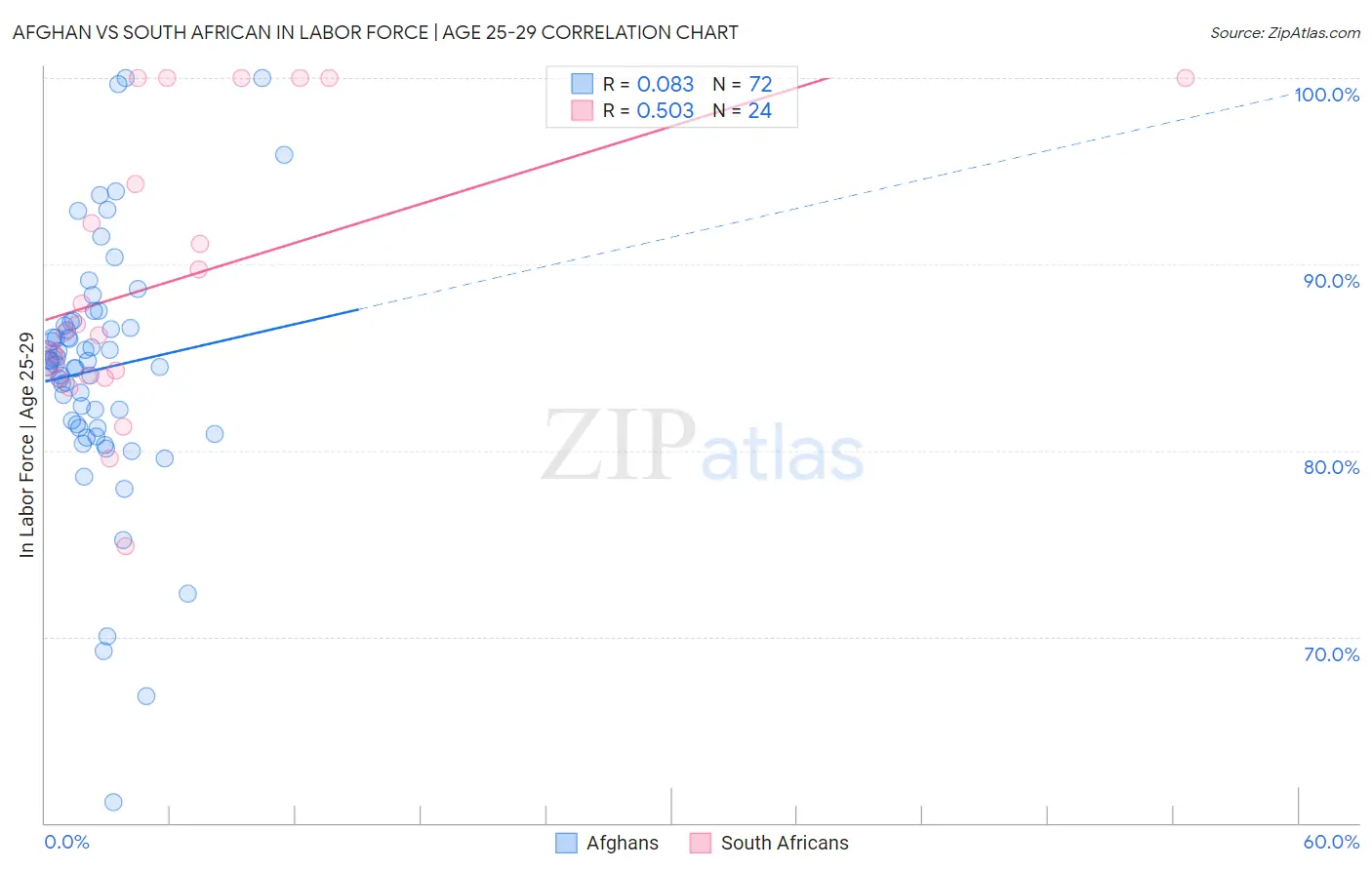 Afghan vs South African In Labor Force | Age 25-29