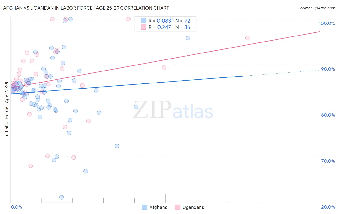 Afghan vs Ugandan In Labor Force | Age 25-29