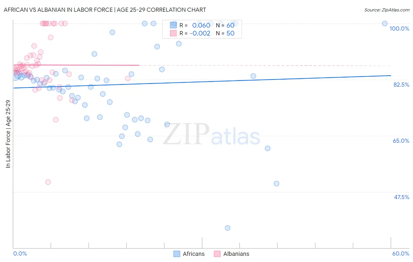 African vs Albanian In Labor Force | Age 25-29