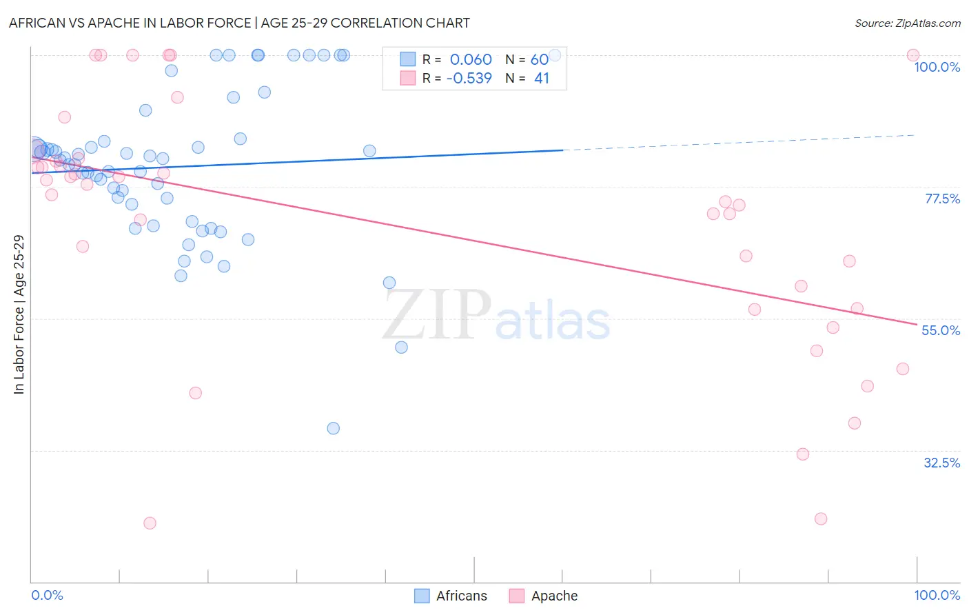 African vs Apache In Labor Force | Age 25-29