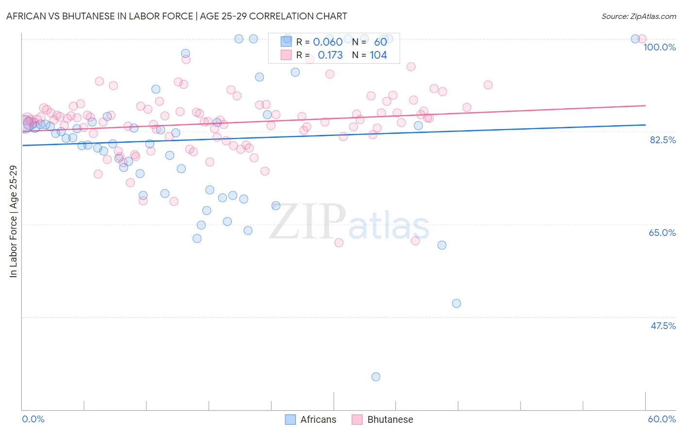 African vs Bhutanese In Labor Force | Age 25-29
