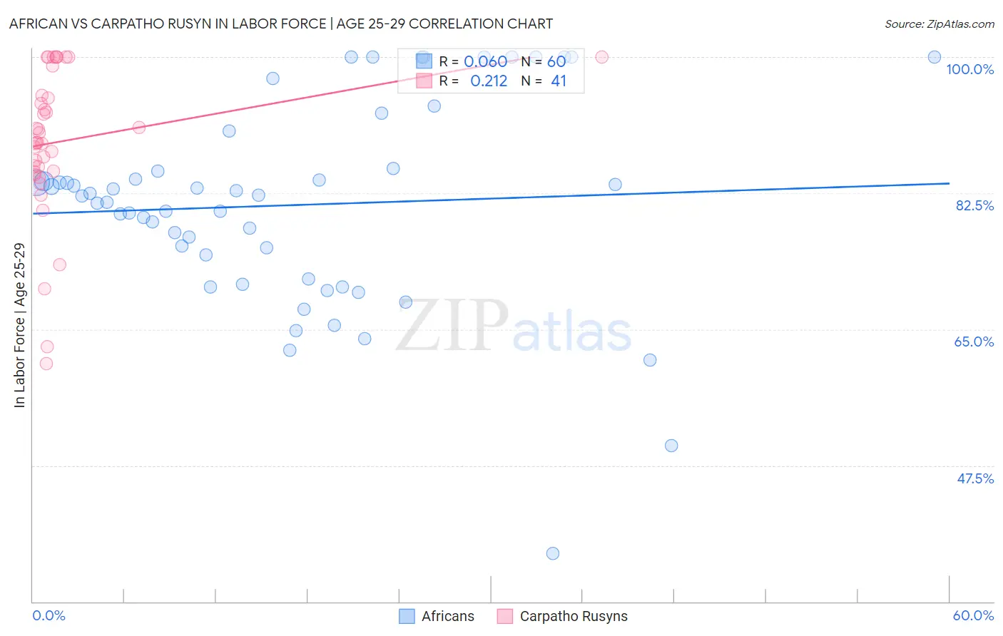 African vs Carpatho Rusyn In Labor Force | Age 25-29