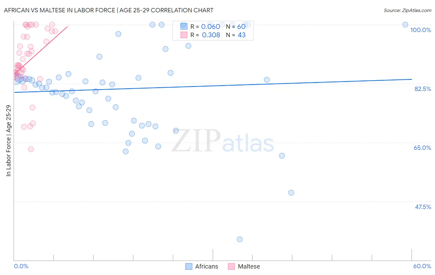 African vs Maltese In Labor Force | Age 25-29
