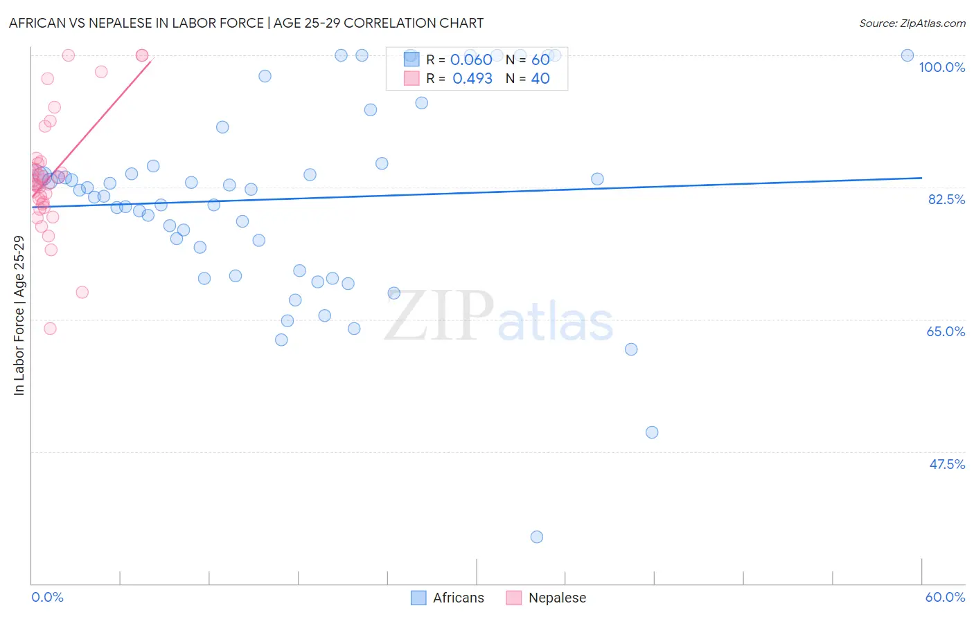 African vs Nepalese In Labor Force | Age 25-29