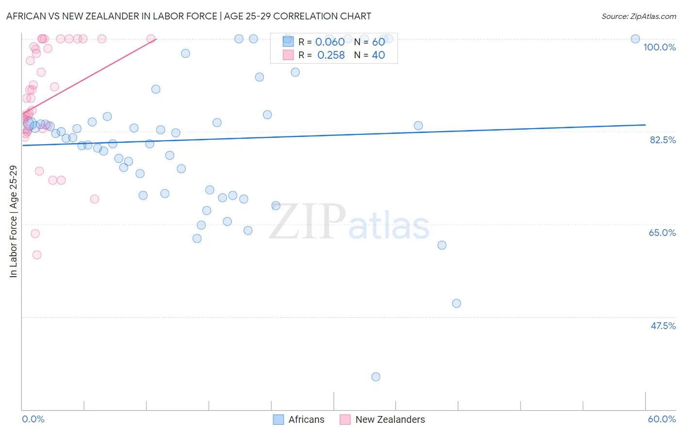 African vs New Zealander In Labor Force | Age 25-29