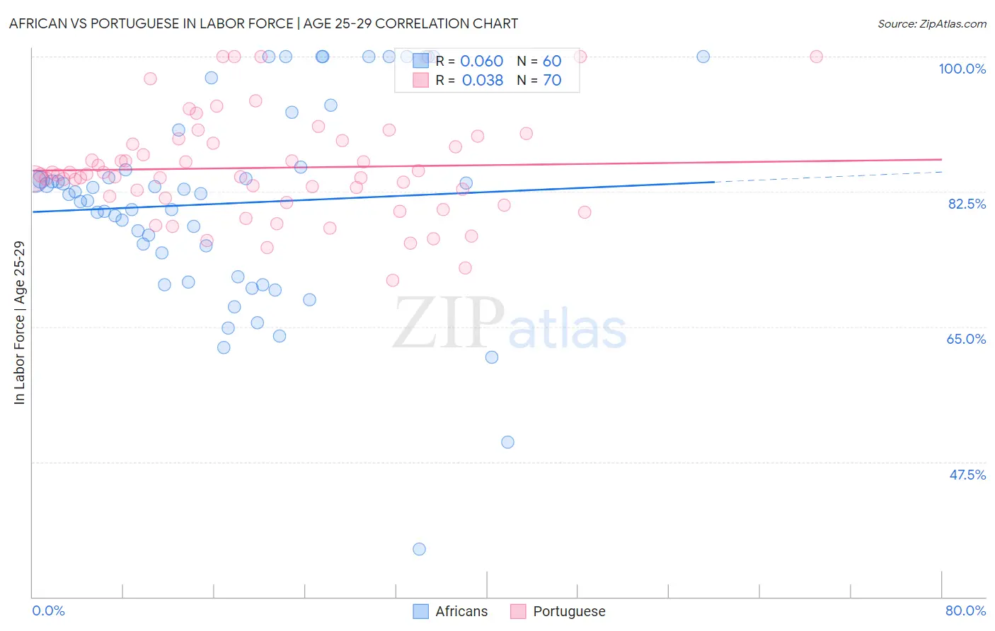African vs Portuguese In Labor Force | Age 25-29