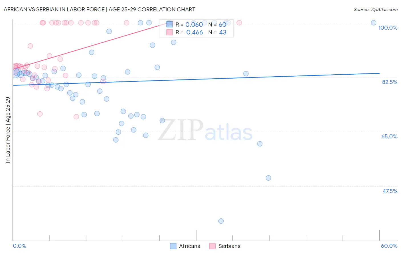 African vs Serbian In Labor Force | Age 25-29