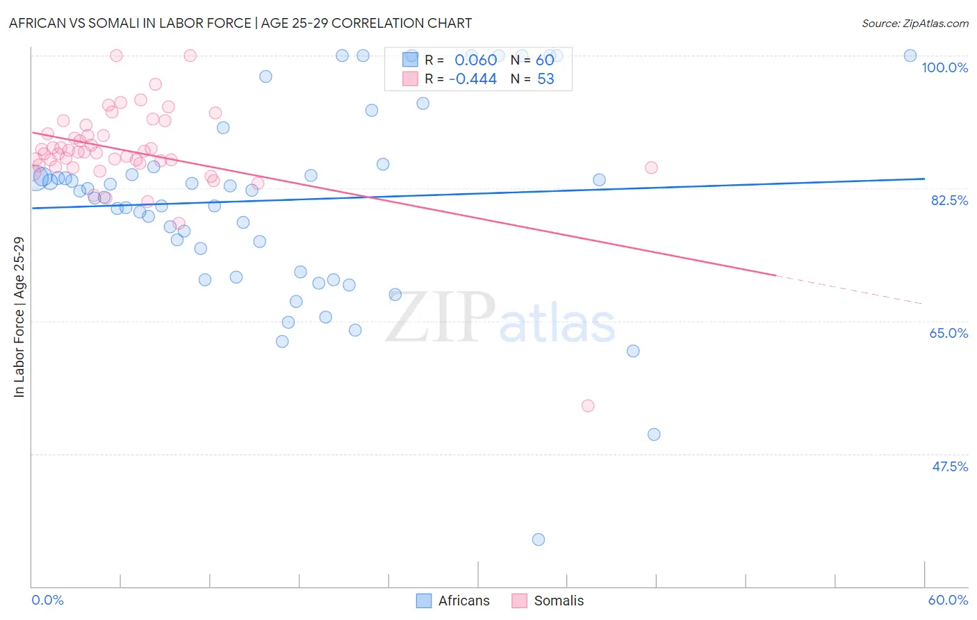 African vs Somali In Labor Force | Age 25-29