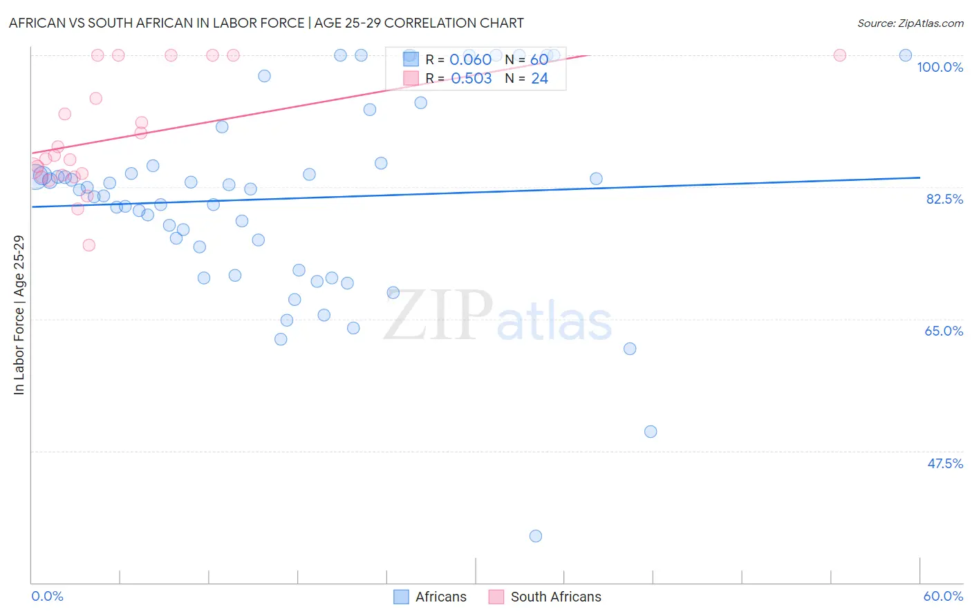 African vs South African In Labor Force | Age 25-29