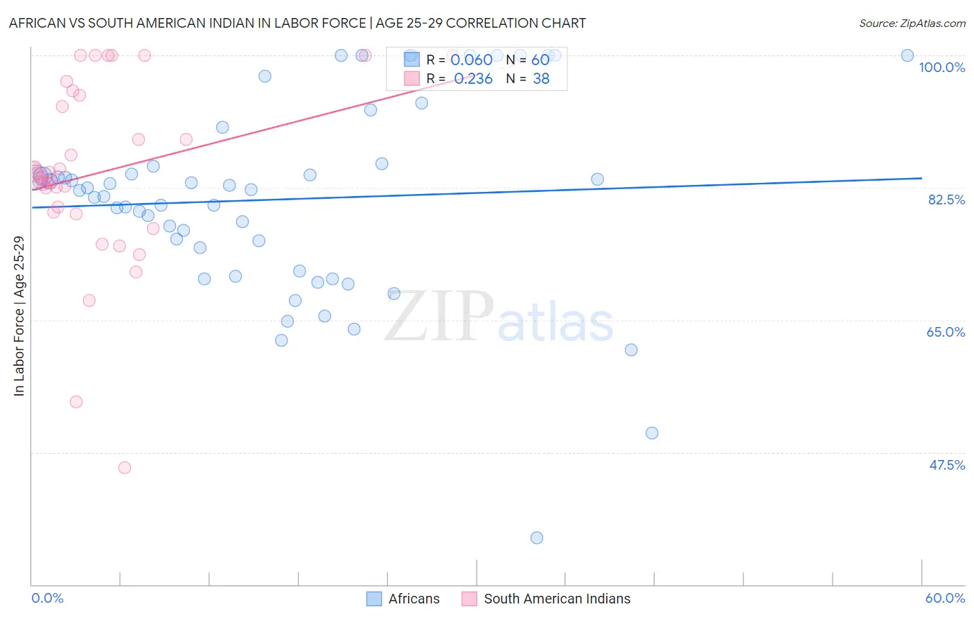 African vs South American Indian In Labor Force | Age 25-29