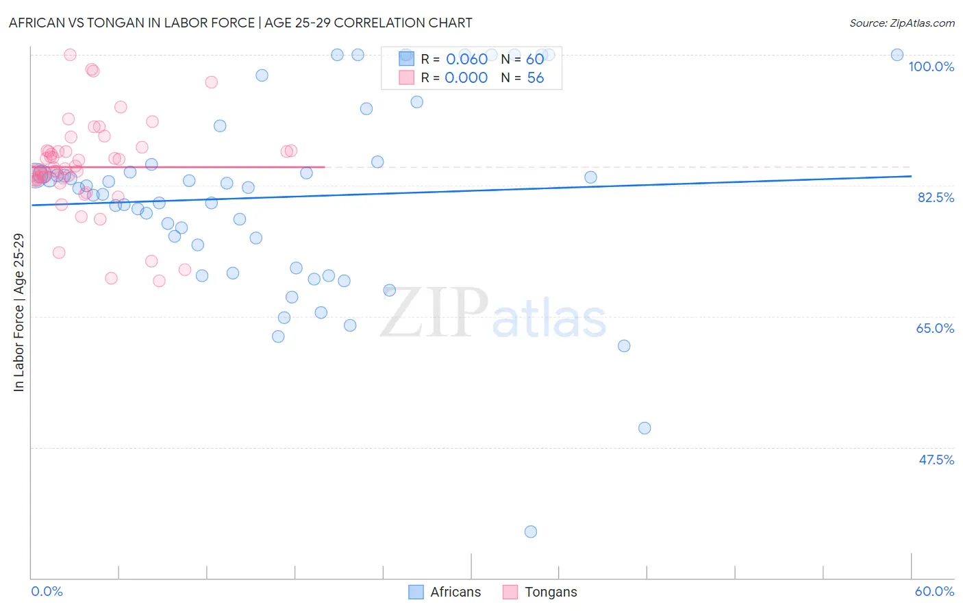 African vs Tongan In Labor Force | Age 25-29